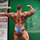 Jamal  Al Maadawy - IFBB New York Pro 2013 - #1