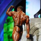 Cedric  McMillan - IFBB Arnold Classic 2013 - #1