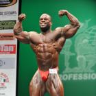 Branden   Ray - IFBB New York Pro 2013 - #1