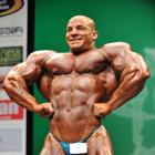 Big Ramy  Elssbiay - IFBB New York Pro 2013 - #1