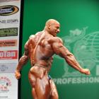 Big Ramy  Elssbiay - IFBB New York Pro 2013 - #1