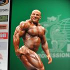 Big Ramy  Elssbiay - IFBB New York Pro 2013 - #1