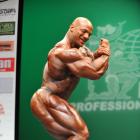 Big Ramy  Elssbiay - IFBB New York Pro 2013 - #1