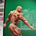 Big Ramy  Elssbiay - IFBB New York Pro 2013 - #1