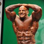 Big Ramy  Elssbiay - IFBB New York Pro 2013 - #1