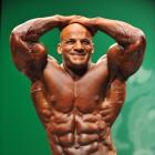 Big Ramy  Elssbiay - IFBB New York Pro 2013 - #1