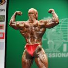 Marcus  Haley - IFBB New York Pro 2013 - #1