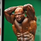 Marcus  Haley - IFBB New York Pro 2013 - #1