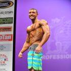 Matthew  Acton - IFBB New York Pro 2013 - #1