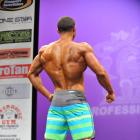 Anton  Antipov - IFBB New York Pro 2013 - #1