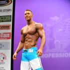 Karl  Bierman - IFBB New York Pro 2013 - #1