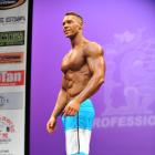 Karl  Bierman - IFBB New York Pro 2013 - #1