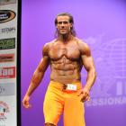 Anton  Antipov - IFBB New York Pro 2013 - #1