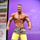 William  Sullivan - IFBB New York Pro 2013 - #1