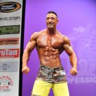 William  Sullivan - IFBB New York Pro 2013 - #1