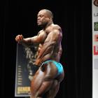Branden   Ray - IFBB New York Pro 2013 - #1