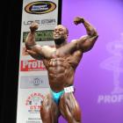 Branden   Ray - IFBB New York Pro 2013 - #1
