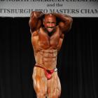 David  Rienzi - IFBB North American Championships 2014 - #1