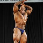 Brad  Davis - IFBB Pittsburgh Pro Masters  2014 - #1