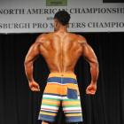 Greg  Johnson - IFBB North American Championships 2014 - #1