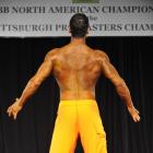 Matty  Maggiora - IFBB North American Championships 2014 - #1