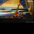 Ryall  Graber-Vasani - IFBB Europa Phoenix Pro 2014 - #1
