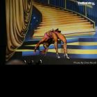 Ryall  Graber-Vasani - IFBB Europa Phoenix Pro 2014 - #1