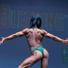 Heidi  Worrell-Osborne - NPC Ferrigno Legacy 2014 - #1