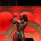 Toney  Freeman - IFBB Arnold Brasil  2014 - #1