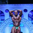 Toney  Freeman - IFBB Arnold Brasil  2014 - #1