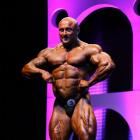 Robert  Piotrkowicz - IFBB Arnold Brasil  2014 - #1