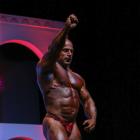 Michael  Kefalianos - IFBB Arnold Brasil  2014 - #1