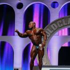 Fred   Smalls - IFBB Arnold Brasil  2014 - #1