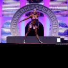 Ryall  Graber-Vasani - IFBB Arnold Brasil  2014 - #1