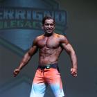 Tim  Degroot - IFBB Ferrigno Legacy Pro 2014 - #1