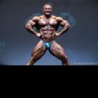 Ronny   Rockel - IFBB Ferrigno Legacy Pro 2014 - #1