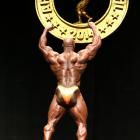 Toney  Freeman - IFBB Arnold Brasil  2014 - #1