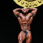 Juan  Morel - IFBB Arnold Brasil  2014 - #1