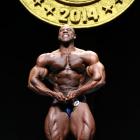 Edward  Nunn - IFBB Arnold Brasil  2014 - #1