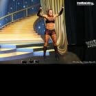 Sherry  Boudreau - IFBB Europa Phoenix Pro 2014 - #1