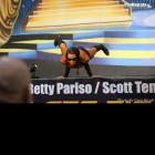 Sherry  Boudreau - IFBB Europa Phoenix Pro 2014 - #1