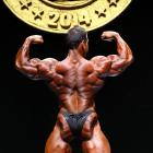 Steve   Kuclo - IFBB Arnold Brasil  2014 - #1