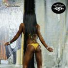 Caryn  Paolini - IFBB St Louis Pro Figure & Bikini 2014 - #1