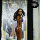 Michelle  Trasey - IFBB St Louis Pro Figure & Bikini 2014 - #1