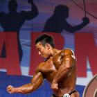 Masashi  Suzuki - IFBB Arnold Amateur 2014 - #1