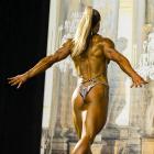 Marnie  Holley - IFBB St Louis Pro Figure & Bikini 2014 - #1