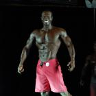 Butch  Rolle - IFBB Precision Fit Body 2016 - #1