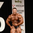 Tim  Budesheim - IFBB New York Pro 2019 - #1