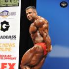 Baitollah  Abbaspour - IFBB New York Pro 2014 - #1