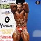 Baitollah  Abbaspour - IFBB New York Pro 2014 - #1
